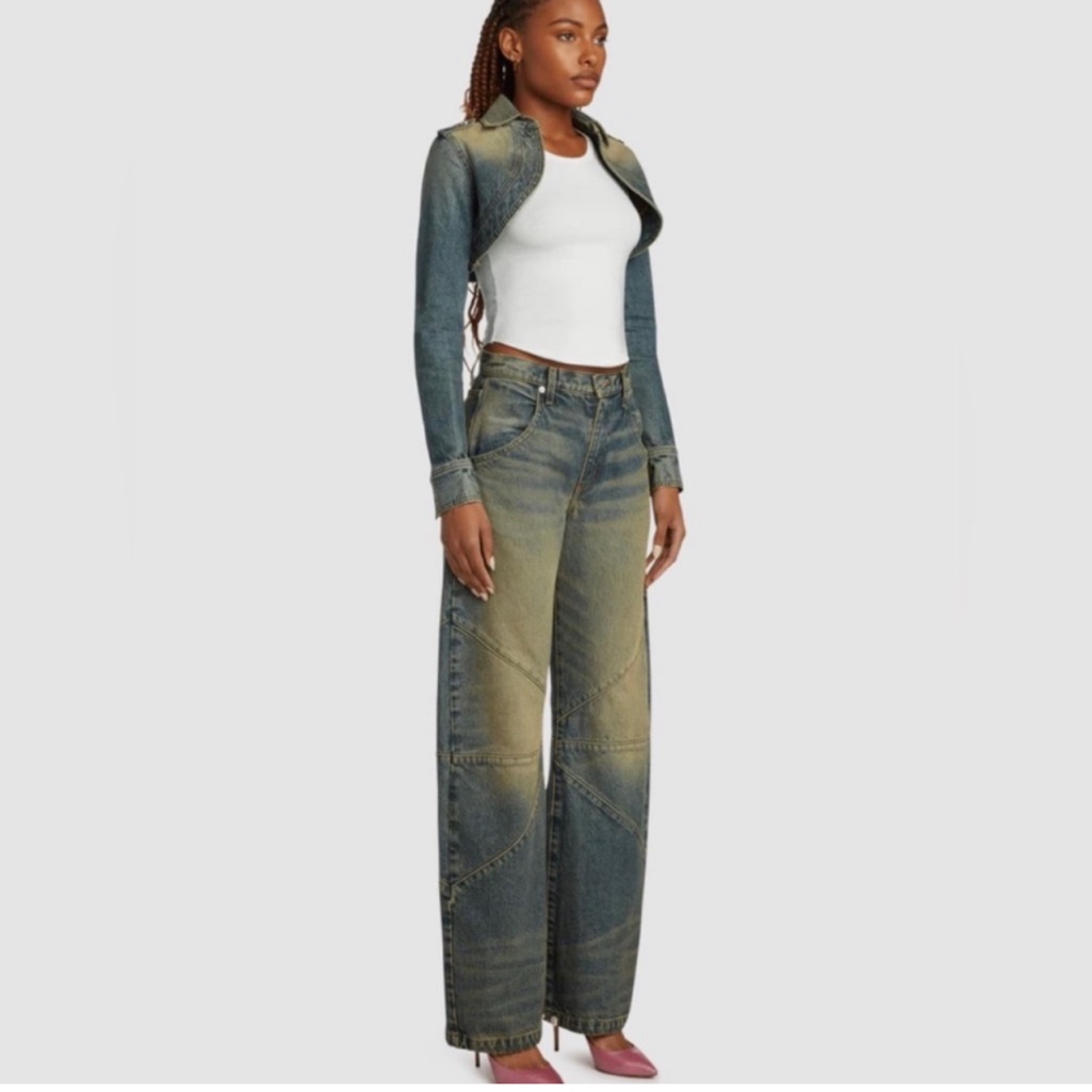 Nwt Eb Denin Frederic Jean High Waisted Bolloon Leg 25